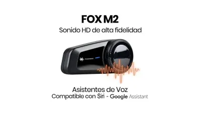 INTERCOMUNICADOR FOXM2